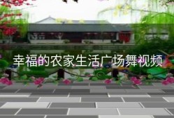 幸福的农家生活广场舞视频