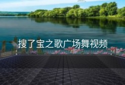 搜了宝之歌广场舞视频