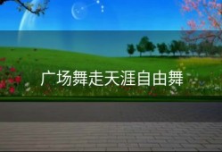 广场舞走天涯自由舞