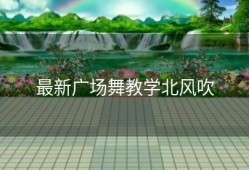 最新广场舞教学北风吹
