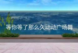 等你等了那么久动动广场舞