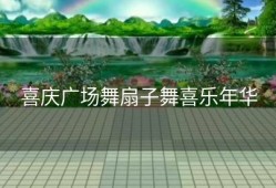 喜庆广场舞扇子舞喜乐年华