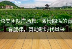 炫美团队广场舞：激情四溢的青春旋律，舞动新时代风采