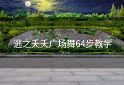 逃之夭夭广场舞64步教学