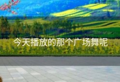 今天播放的那个广场舞呢