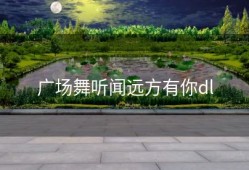 广场舞听闻远方有你dl