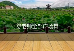 舒老师全部广场舞