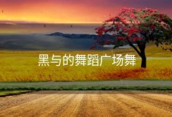 黑与的舞蹈广场舞