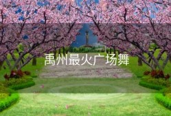 禹州最火广场舞