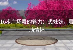 16步广场舞的魅力：想妹妹，舞动情怀