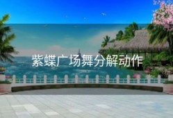 紫蝶广场舞分解动作
