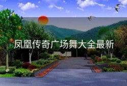 凤凰传奇广场舞大全最新