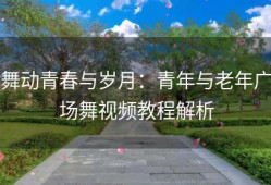 舞动青春与岁月：青年与老年广场舞视频教程解析
