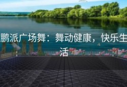 鹏派广场舞：舞动健康，快乐生活