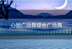 心锁广场舞蝶依广场舞