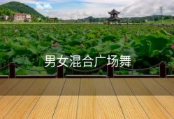 男女混合广场舞