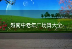 越南中老年广场舞大全