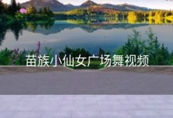 苗族小仙女广场舞视频