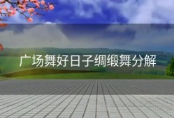 广场舞好日子绸缎舞分解