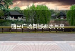 糖豆广场舞娜娜水月亮