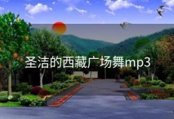 圣洁的西藏广场舞mp3