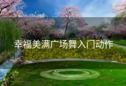 幸福美满广场舞入门动作