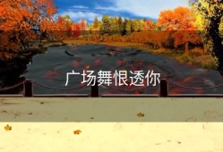 广场舞恨透你