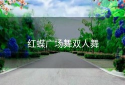 红蝶广场舞双人舞