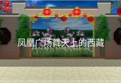 凤凰广场舞天上的西藏