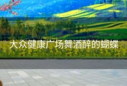 大众健康广场舞酒醉的蝴蝶
