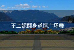 王二妮翻身道情广场舞