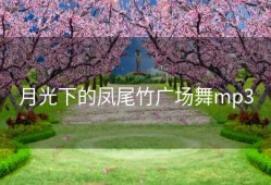 月光下的凤尾竹广场舞mp3