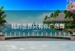 我的世界只有你广场舞