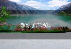 想你了广场舞