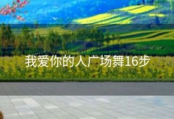 我爱你的人广场舞16步