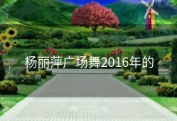 杨丽萍广场舞2016年的