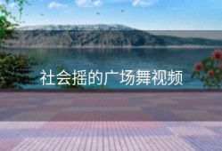 社会摇的广场舞视频