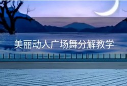 美丽动人广场舞分解教学