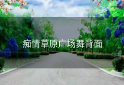 痴情草原广场舞背面