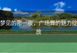 梦见的那一夜，广场舞的魅力绽放