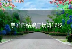 亲爱的姑娘广场舞16步