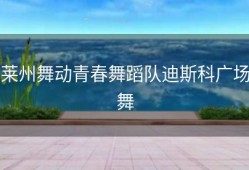 莱州舞动青春舞蹈队迪斯科广场舞