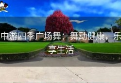 中游四季广场舞：舞动健康，乐享生活