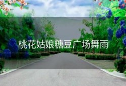 桃花姑娘糖豆广场舞雨