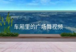 车厢里的广场舞视频