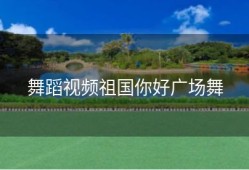 舞蹈视频祖国你好广场舞