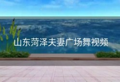 山东菏泽夫妻广场舞视频