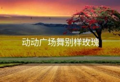 动动广场舞别样玫瑰