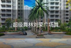 超级舞林刘荣广场舞