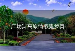 广场舞高原情歌鬼步舞